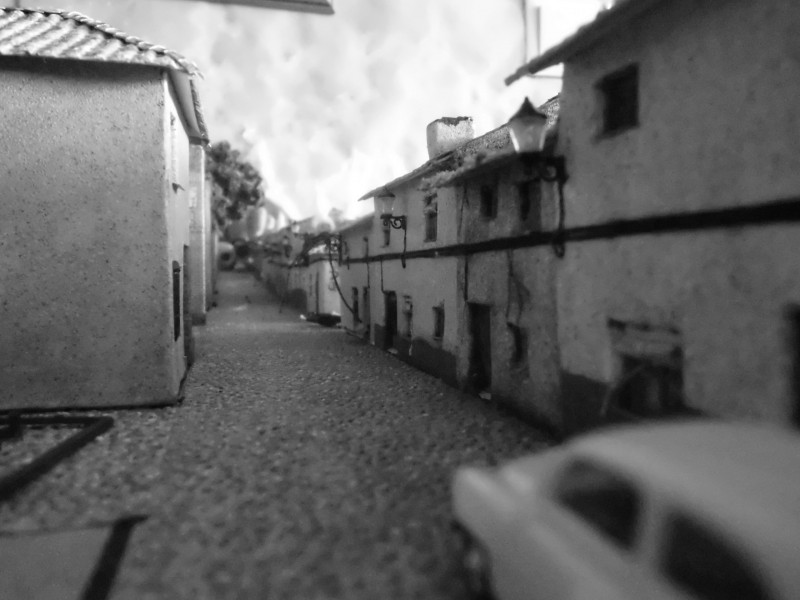 007.JPG