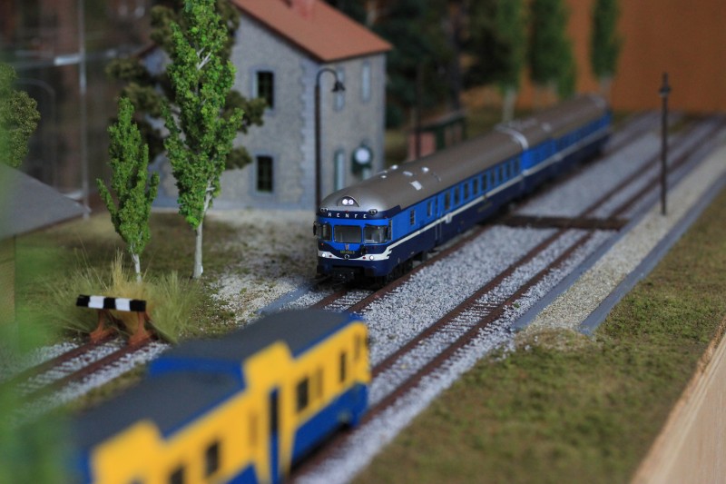 005.JPG