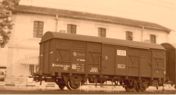 CIMG7890.JPG