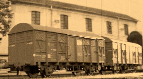 CIMG7896.JPG