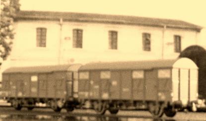 CIMG7897.JPG