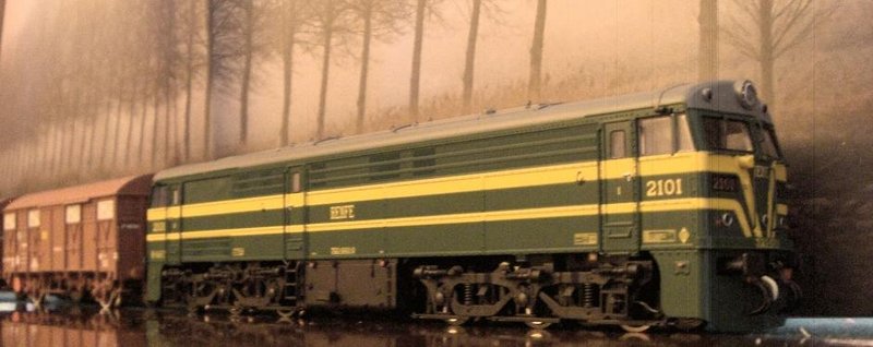 CIMG7908.JPG