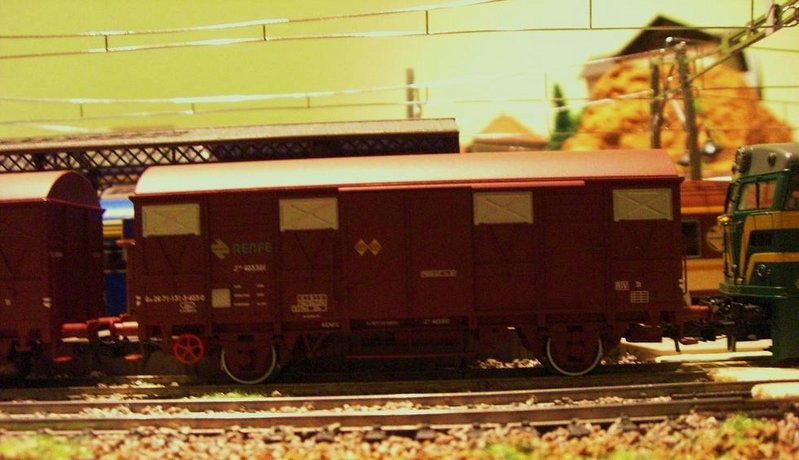 CIMG7920.JPG