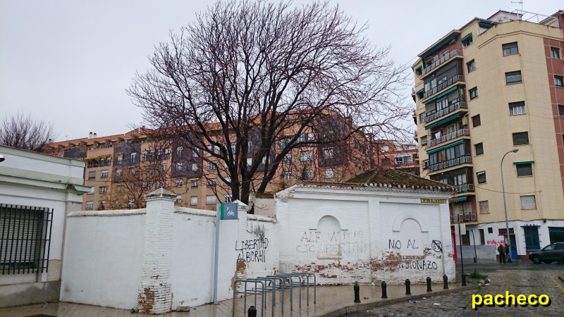 DSC_0963#.jpg