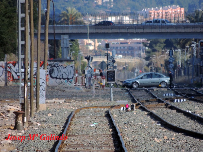 DSCN2261.jpg