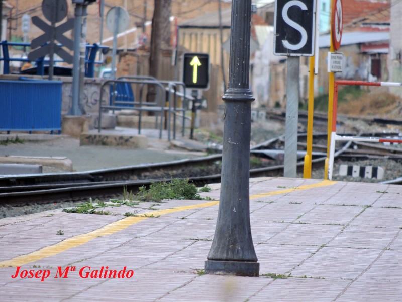 DSCN2283.jpg