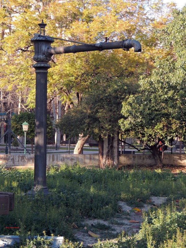 DSCN2350.jpg
