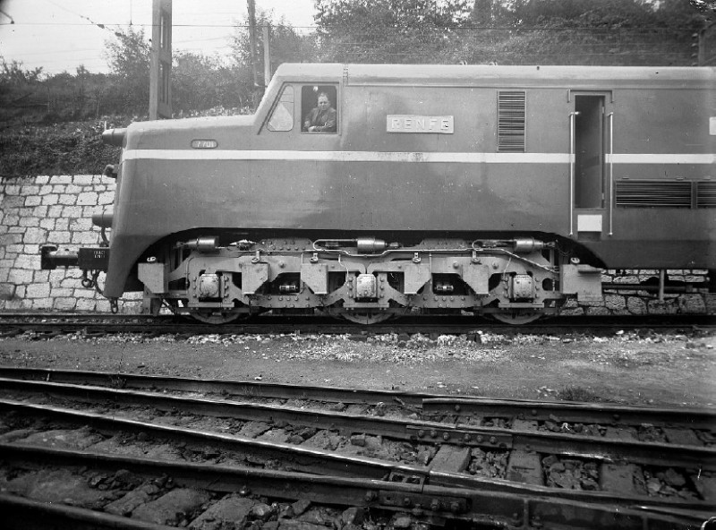 7701.jpg