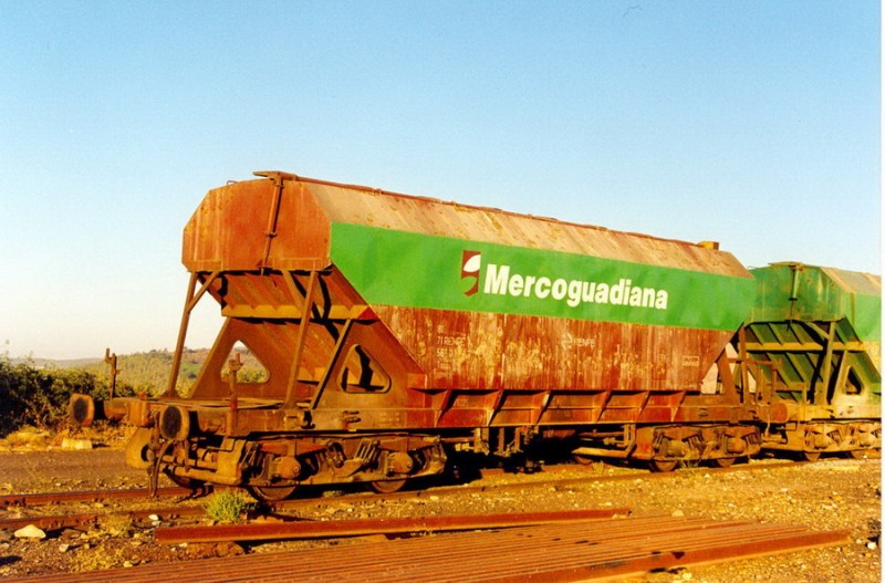 Mercoguadiana marrón Zafra.jpg