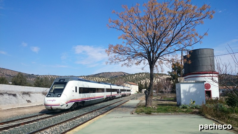 DSC_1100##.jpg