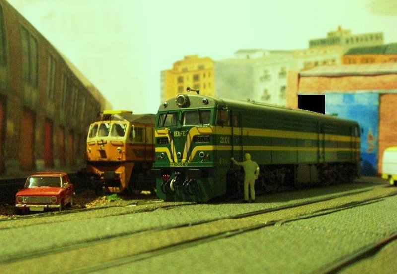 CIMG7941.JPG
