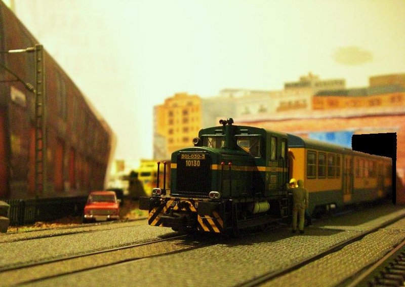 CIMG7946.JPG