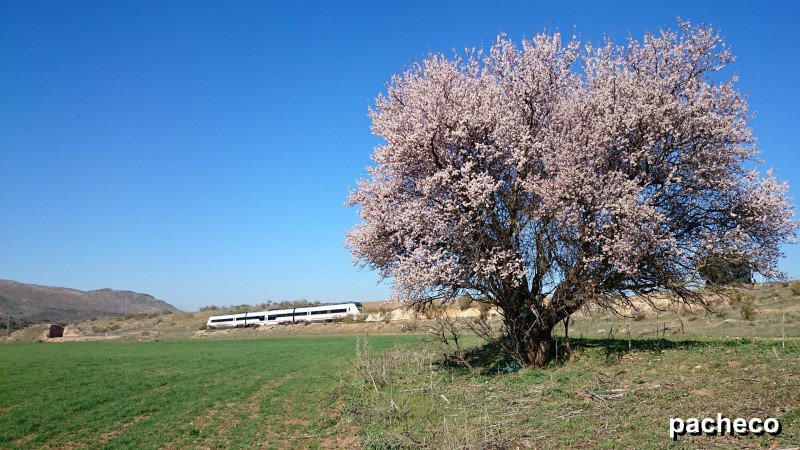 DSC_1134#.jpg