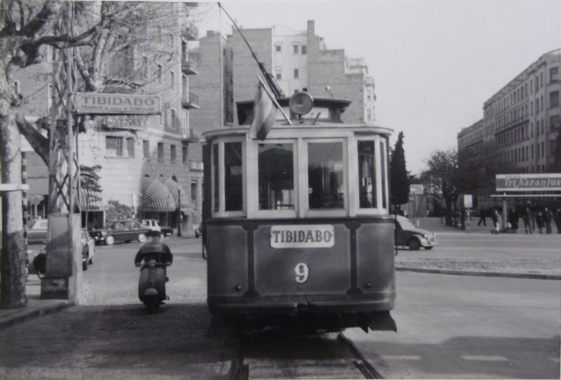 113.JPG