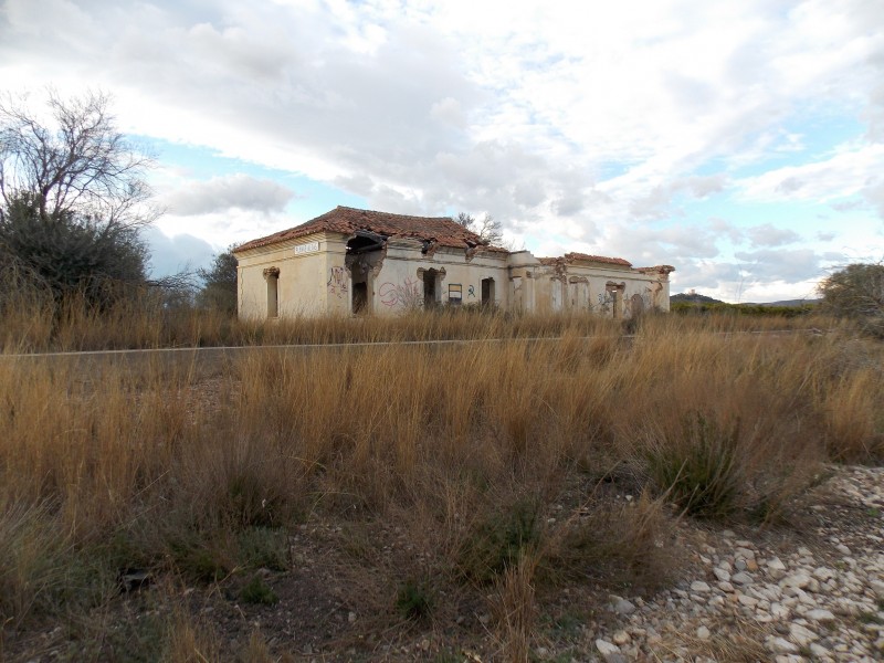 Planas altas II.jpg