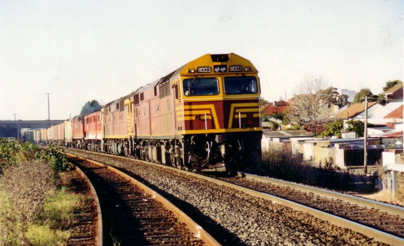 8003.jpg