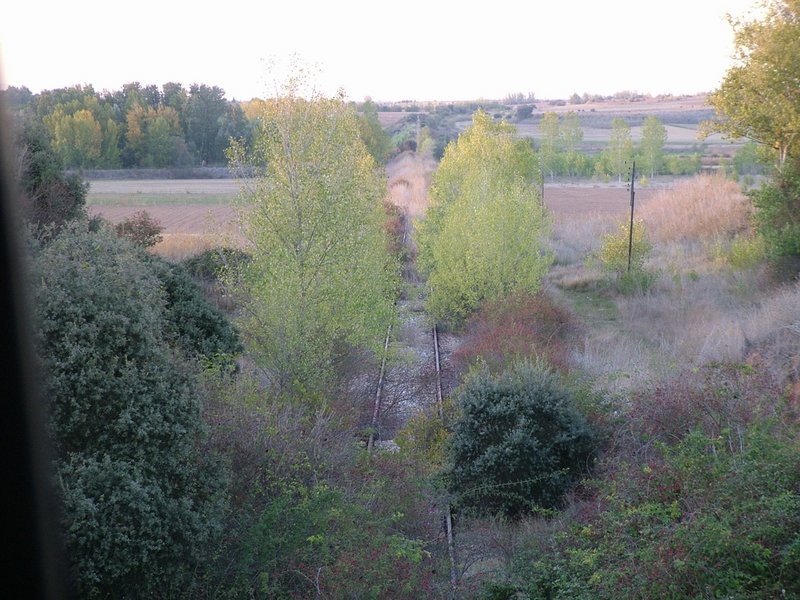 DSCF6586p.JPG