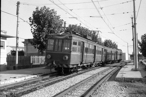 carbón 002.jpg