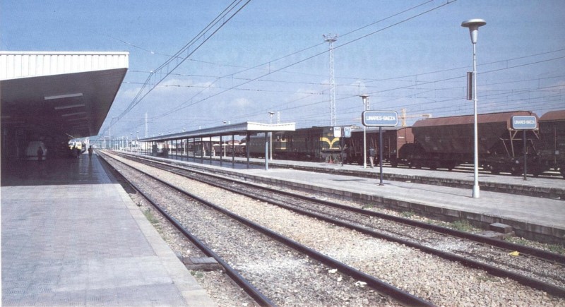 1300.jpg