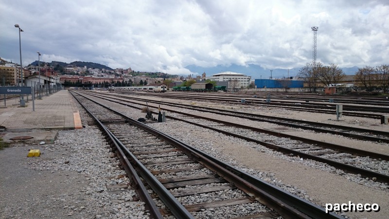 DSC_1298#.jpg