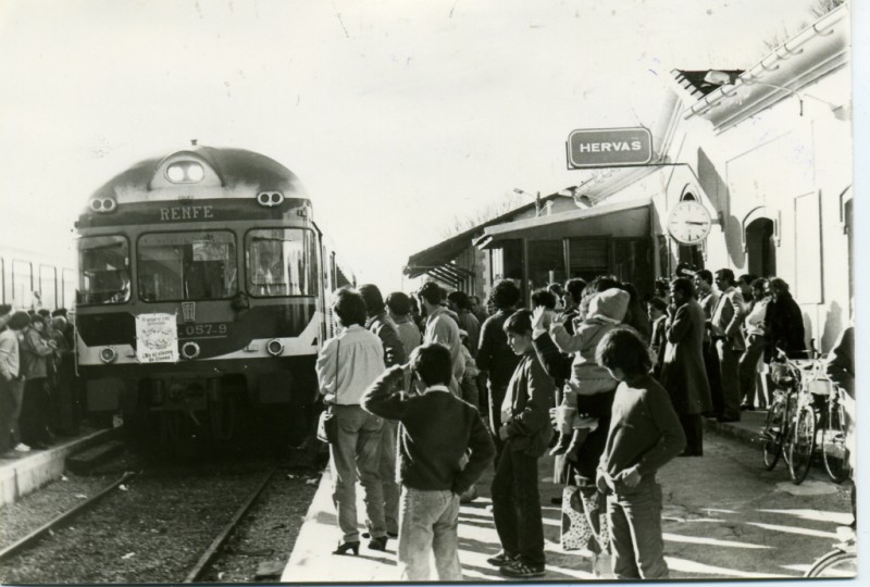 tren6.jpg