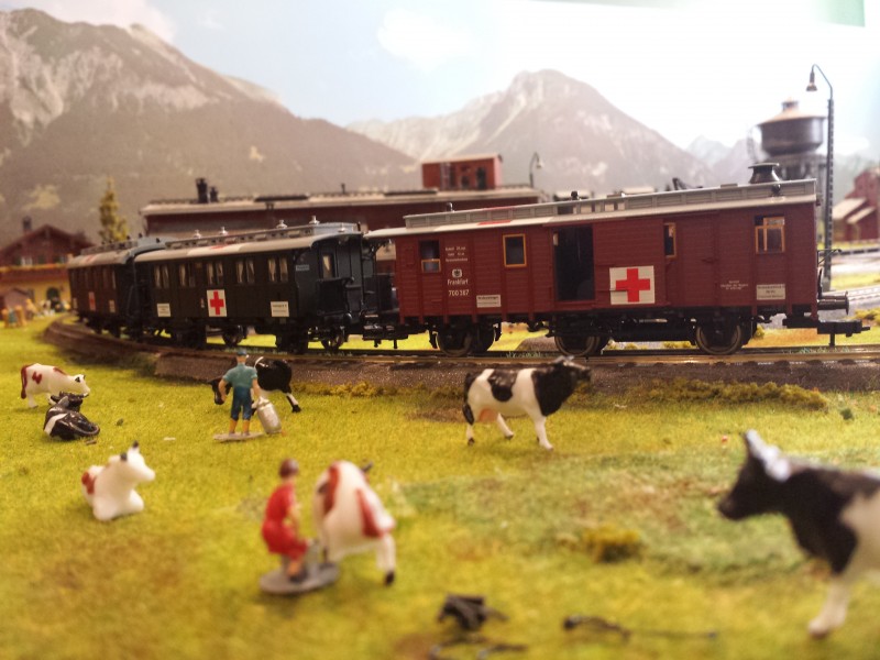 20150413_134151.jpg