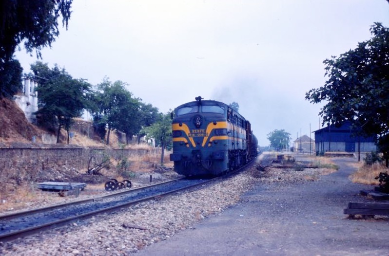 1608.1.jpg