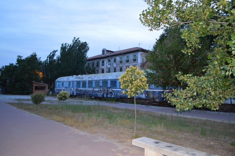 DSC_0172.JPG