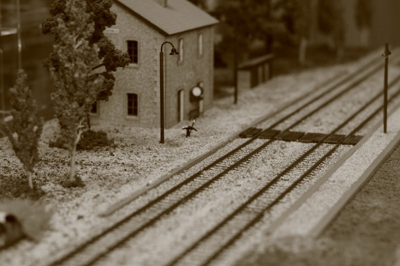 004.JPG