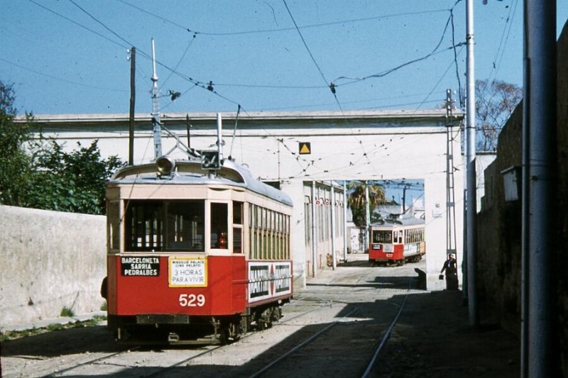 529.jpg