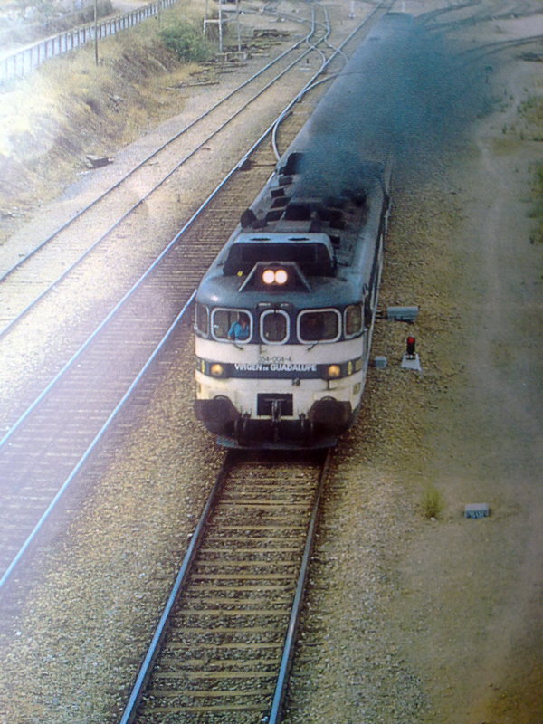 28122009283.jpg