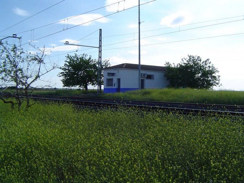 Campillo I.JPG