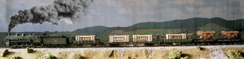 Tren.jpg