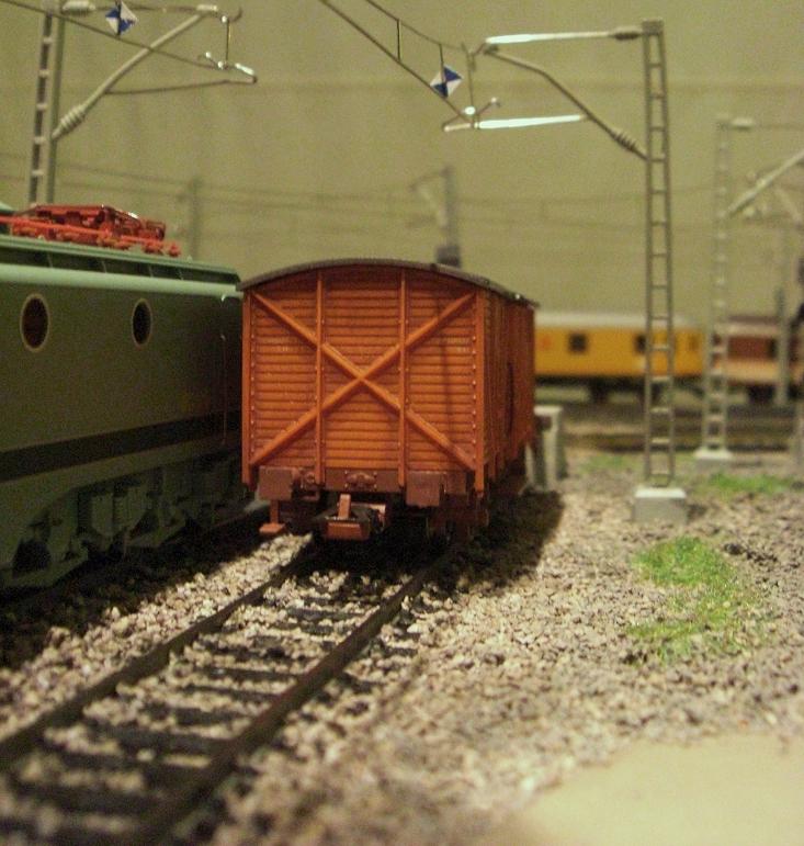 CIMG8032.JPG