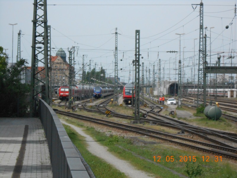 DSCN0584.JPG