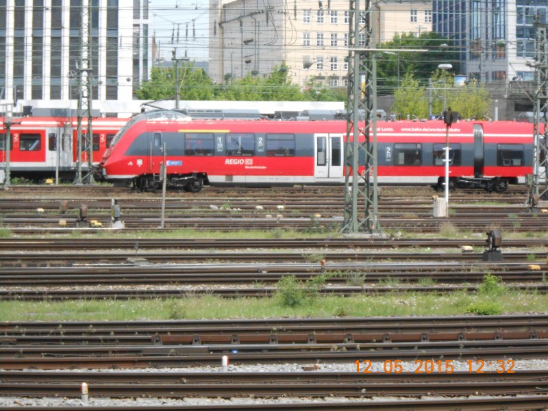 DSCN0586.JPG