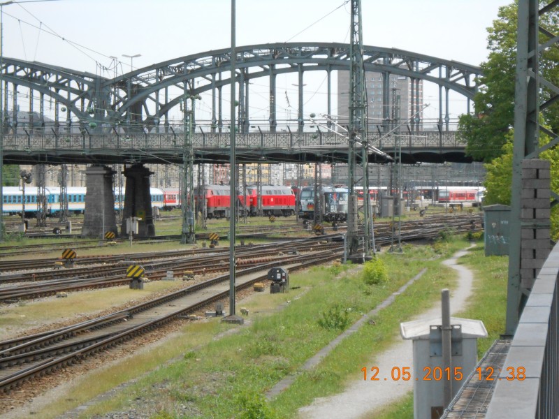 DSCN0593.JPG