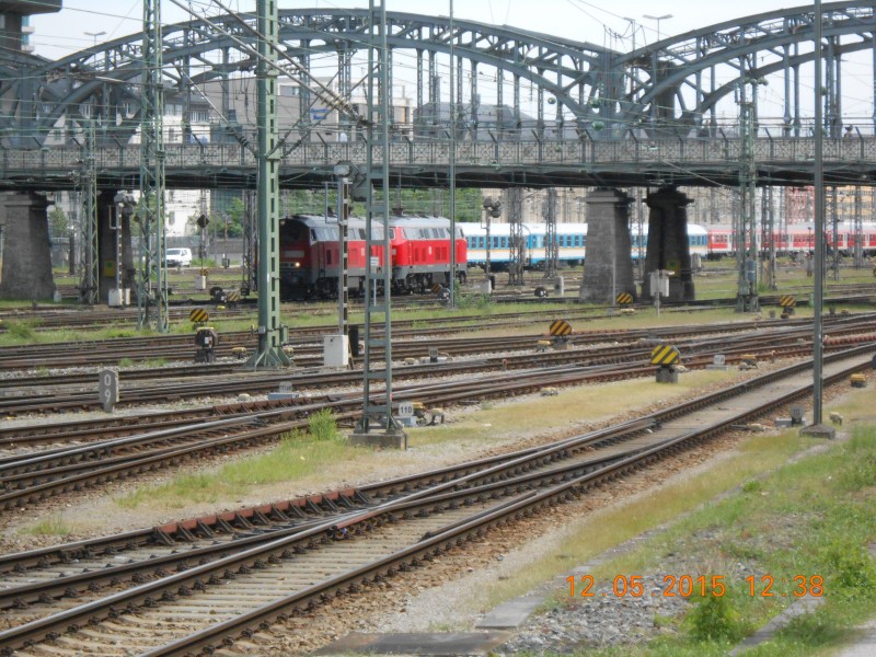 DSCN0594.JPG
