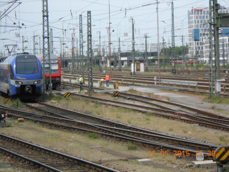DSCN0596.JPG