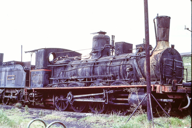 2186.jpg