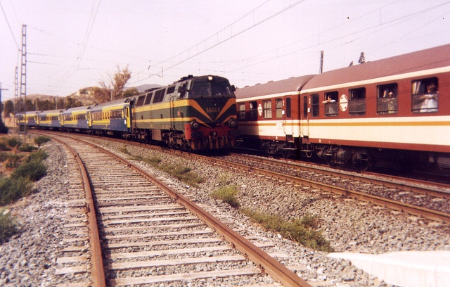 Valencia-Expreso. Monóvar-Pinoso, 21-6-1986.jpg