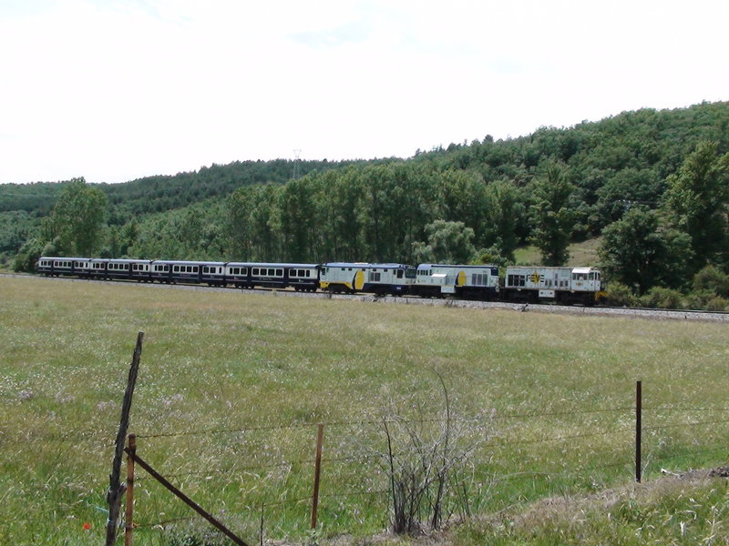 DSC00197.JPG