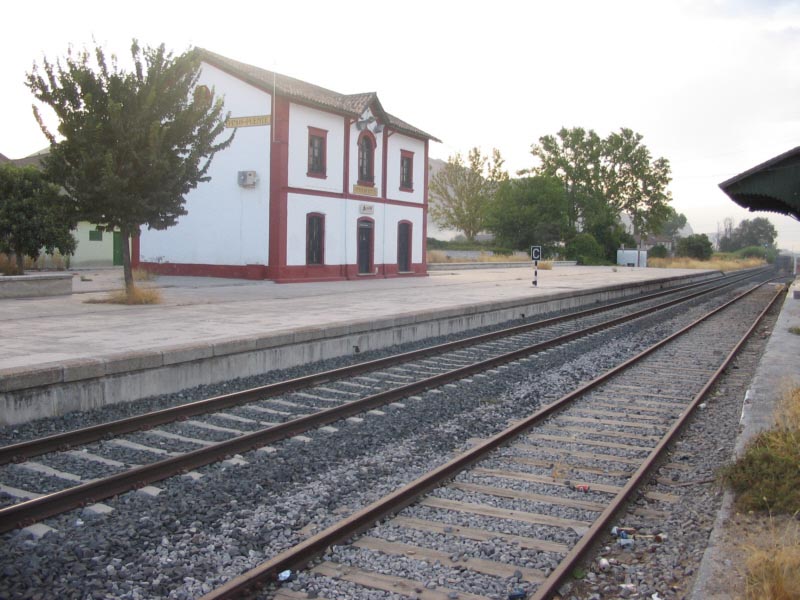 pinos puente.jpg