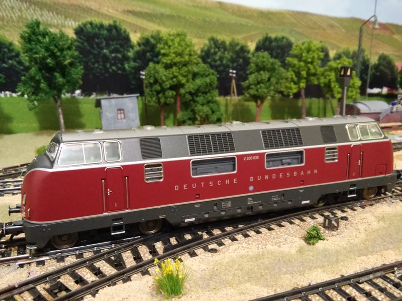 20150722_155126_HDR.jpg