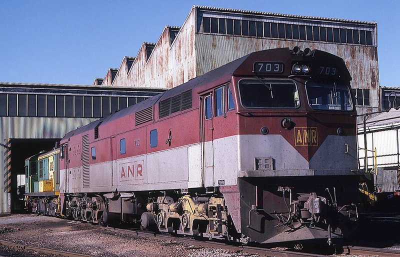 703.jpg