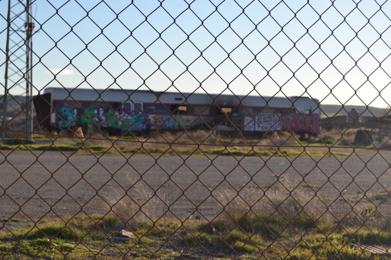 DSC_0633.JPG