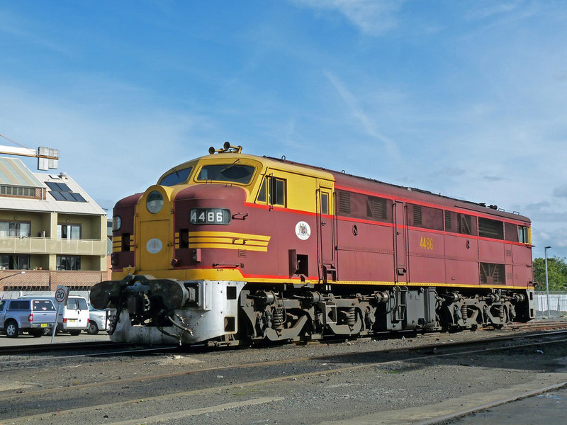 4486.jpg