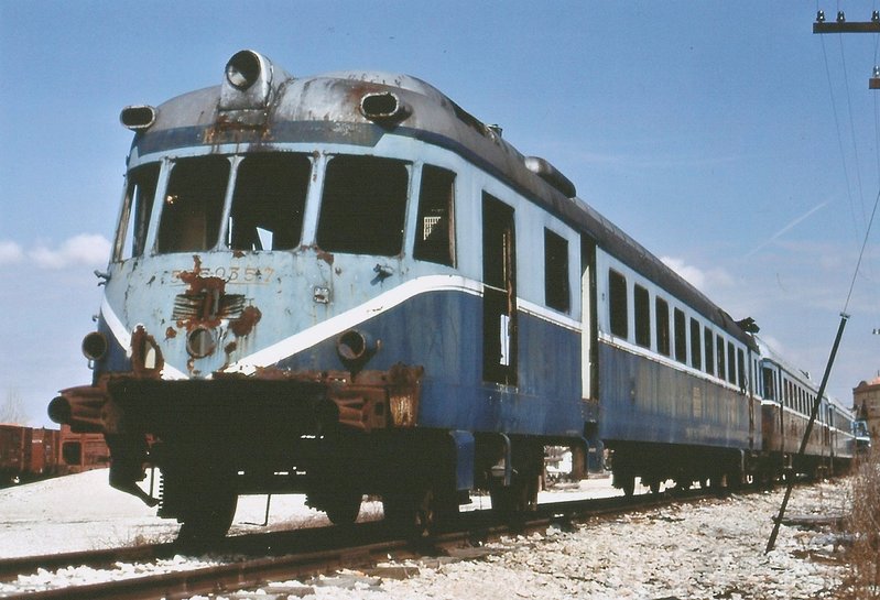 TAF.jpg