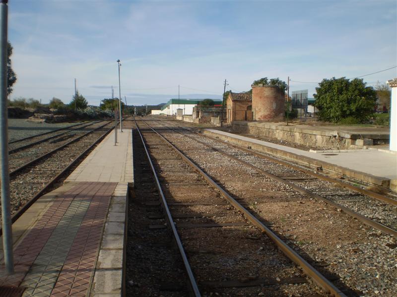P1010492 (Medium).JPG