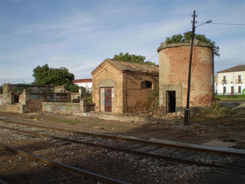 P1010495 (Medium).JPG